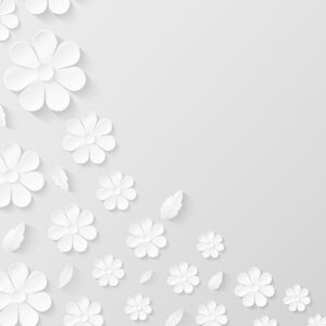 paper flower background, white, flowers